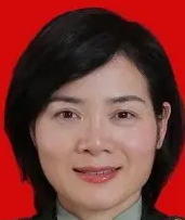 Aiqing Wen