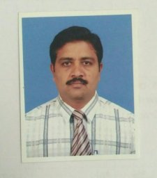 P. L. Viswanathan