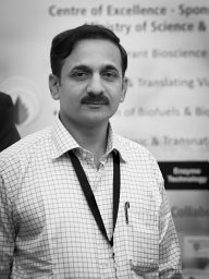 Sandeep Kale