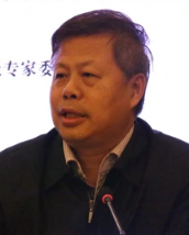 Jiping Fan