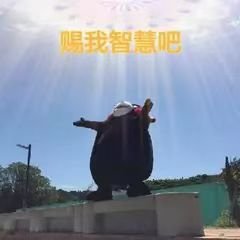 Sicheng Niu