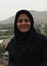 Sarvin Mohammadi-Aghdam