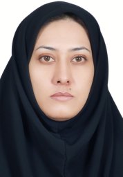 Raheleh Rafaiee