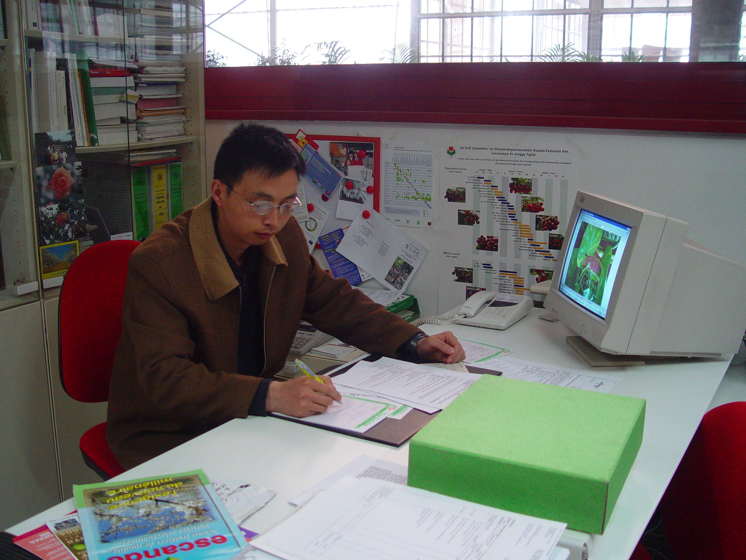 Hongwen Li