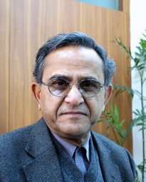 Abdul H Nayyar