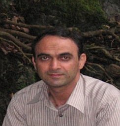 Mohammad A. Asadollahi