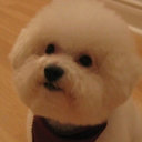 Rong Fan