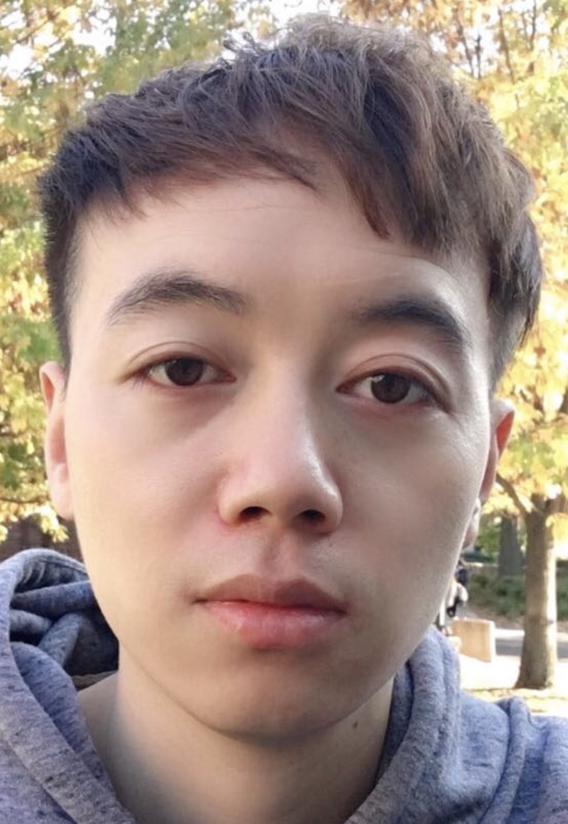 Taihui Li