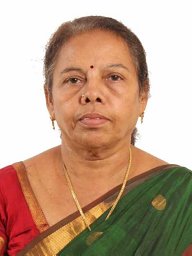 T. Tamizhmani