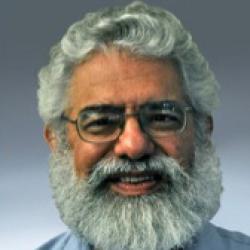 David Barbano