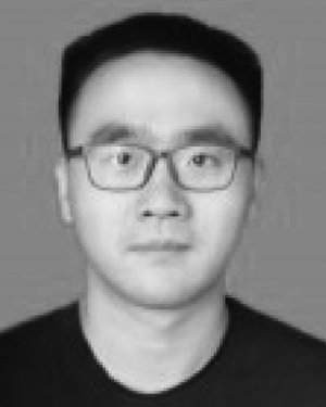 Wei Chen