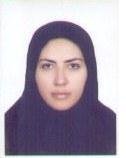 Somayyeh Sadri