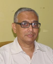 Amlan J. Pal