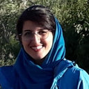 Somaye Vali Zade