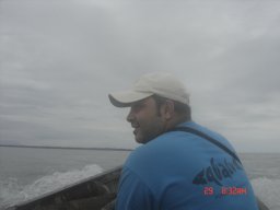 Andrés F Navia