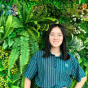 Ying Ding