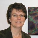 Kathleen J Millen