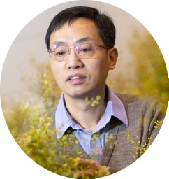 Lirong Zeng