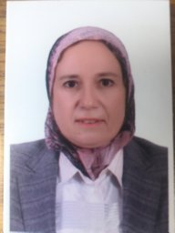 Naglaa Kholoussi .