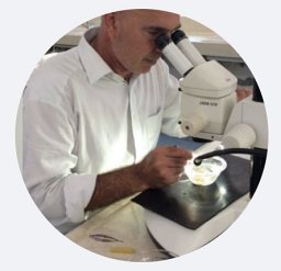 Giorgio Scari