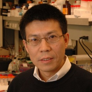 Rihe Liu