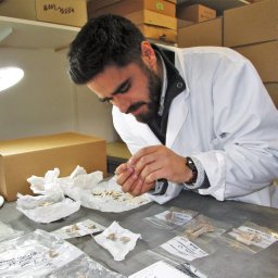 Antony Colombo