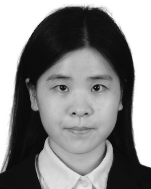 Chi Kong Li