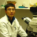 Yonggang Wang