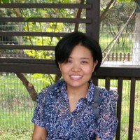Ying Li