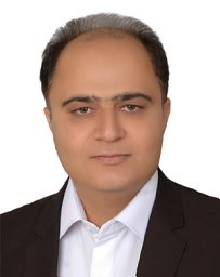 S. Jafar Hoseini