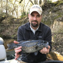 Timothy F. Bonvechio
