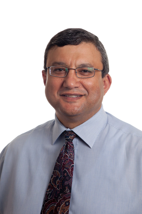 Ahmed El-Mowafy