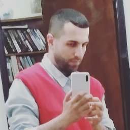 Mohammad Zoghi