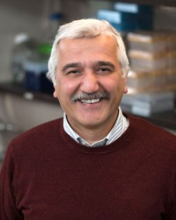 M. Hakan Ozdener
