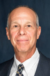 David A Ostrov