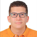 Mohamed E. Mostafa