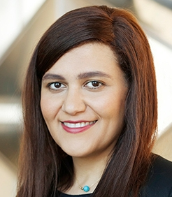 Niveen M. Khashab