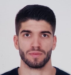 Dimitris M. Vlachogiannis
