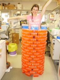 Rebeka Tomasin