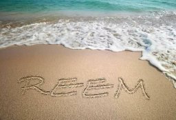 Reem A Abdel Aziz