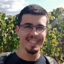 Michele Gottardi