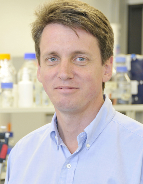 Markus Stoffel