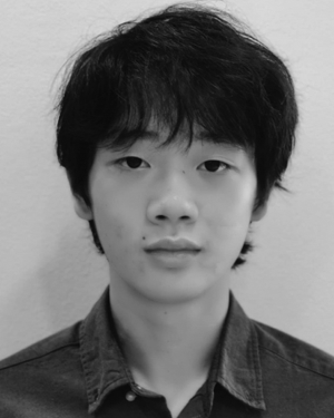 Michael P Chen