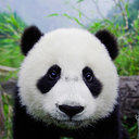 Chong Gao