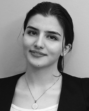 N. Gholizadeh