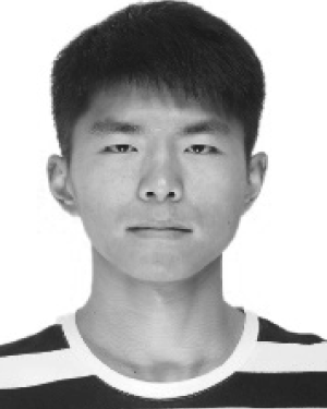 Wei Chen