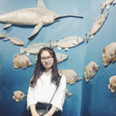 Shu Yan Wang