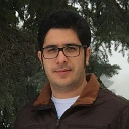 Mohammadhadi Shateri