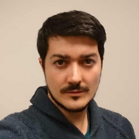 Georgy Manucharyan