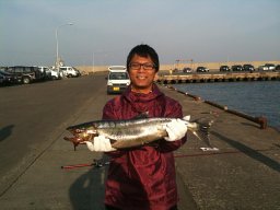 Firdaus Basrawi